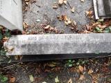image of grave number 499262